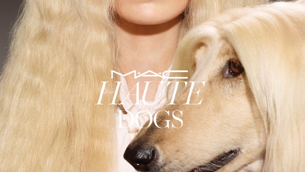 Haute Dogs от M.A.C коллекция макияжа в натуральных оттенках под цвет шерсти питомцев | Allure