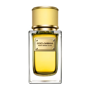 Цветочнофруктовый аромат Velvet Mimosa Bloom 50 мл 11thinsp406 руб. Dolce thinspGabbana.