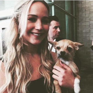 jennishrader
