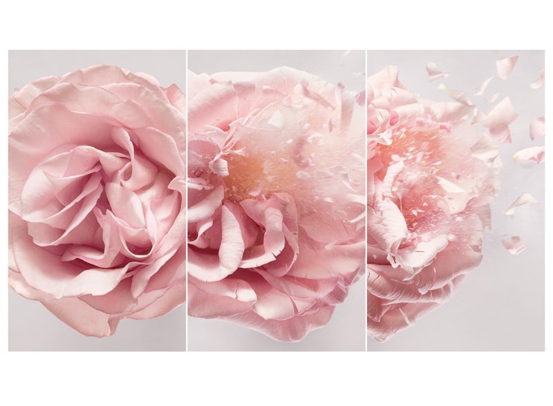 Miss Dior дымка для волос аромат Blooming Bouquet и лимитированный выпуск парфюма | Allure