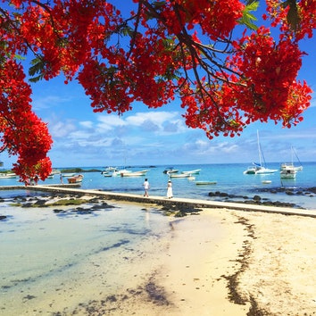Сразу в рай: путешествие на Маврикий
