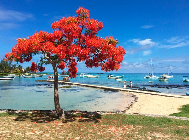 Сразу в рай путешествие на Маврикий