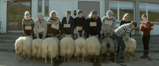 Кадр из фильма «Овцы»