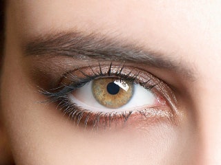Roberto Cavalli