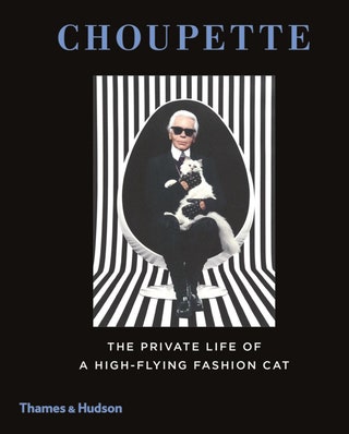 Книга «Шупетт личная жизнь модной кошки высокого полета»