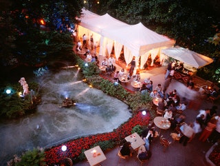 Бонус отеля Sheraton Diana Majestic — роскошный сад.