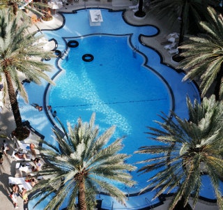 «Геральдический» бассейн на крыше отеля Raleigh с публикой под стать