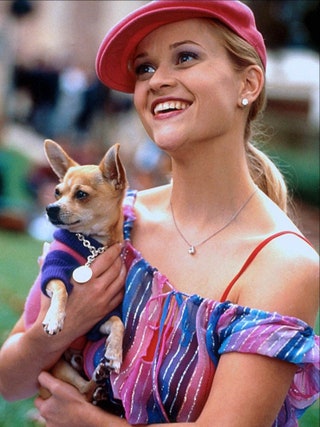 Риз в роли Эль Вудс . Стереотипная блондинка в исполнении Риз всегда носит с собой розовую помаду и маленькую собачку.
