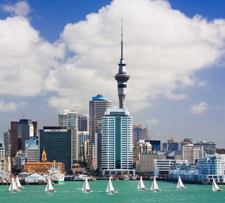 В Окленде есть возможность покататься на тренировочных яхтах новозеландской сборной по парусному спорту