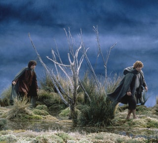 В болотистом месте КеплерМайр снималась страшная сцена прохода Голлума Фродо и Сэма через болото