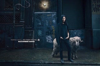 Александр Вэнг в рекламной кампании Woolmark