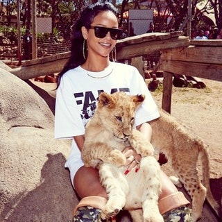 badgalriri — Рианна в зоопарке города Йоханнесбург