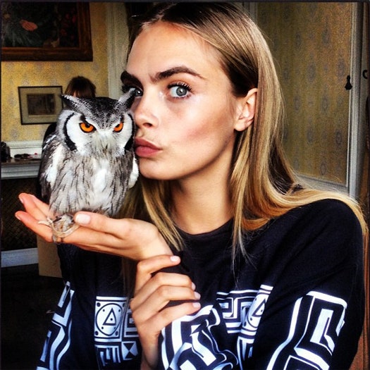Кара Делавинь ведет Instagram