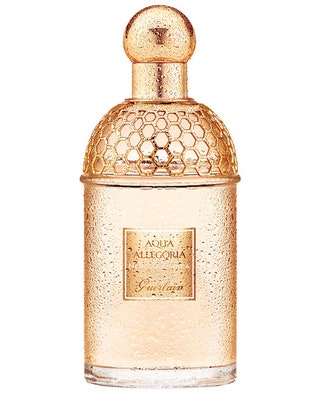 Цитрусовый аромат Aqua Allegoria Nerolia Bianca 75 мл 2750 руб. Guerlain