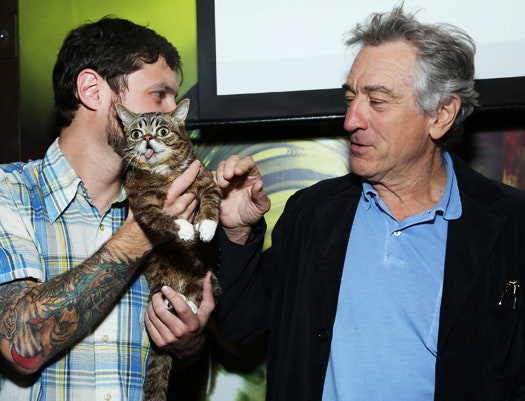 Роберт Де Ниро и кошка  звезда интернета