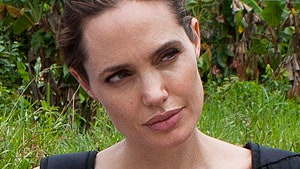 Анджелина Джоли побывала в Эквадоре