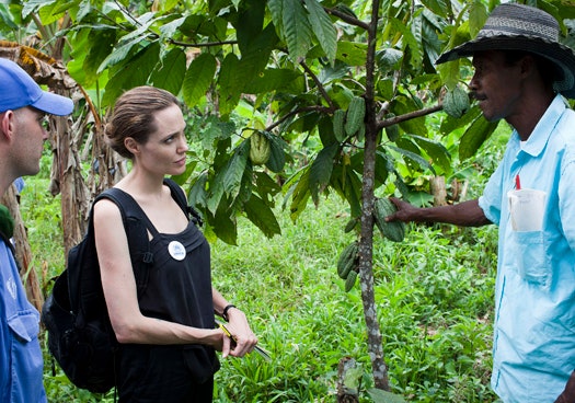Анджелина Джоли побывала в Эквадоре