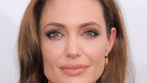 Анджелина Джоли отвергает обвинения в плагиате