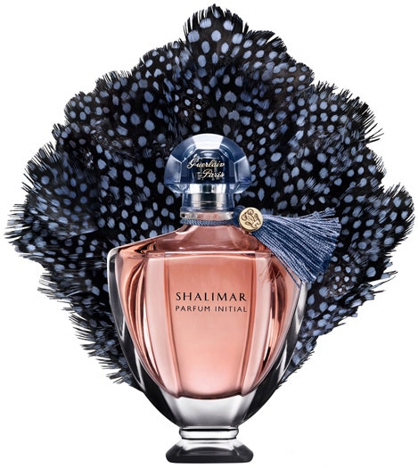 Новый Shalimar