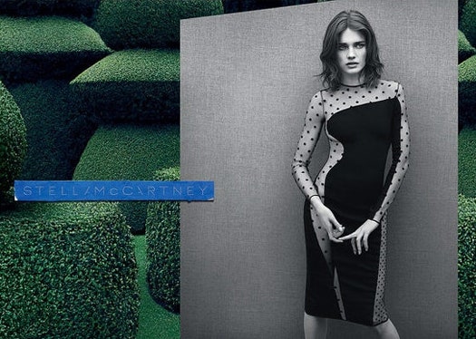 Превью осенней рекламной кампании Stella McCartney