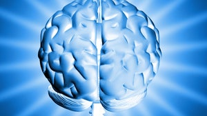 Три удивительных факта про мозг и стройную фигуру