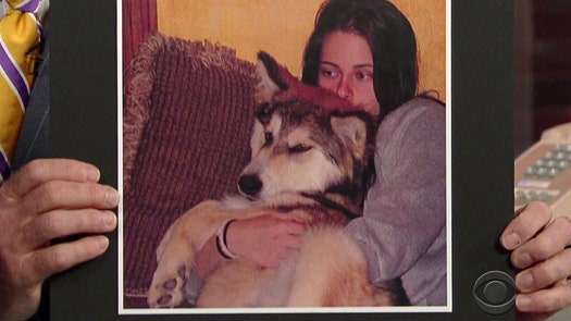 Кристен Стюарт и ее домашний волк
