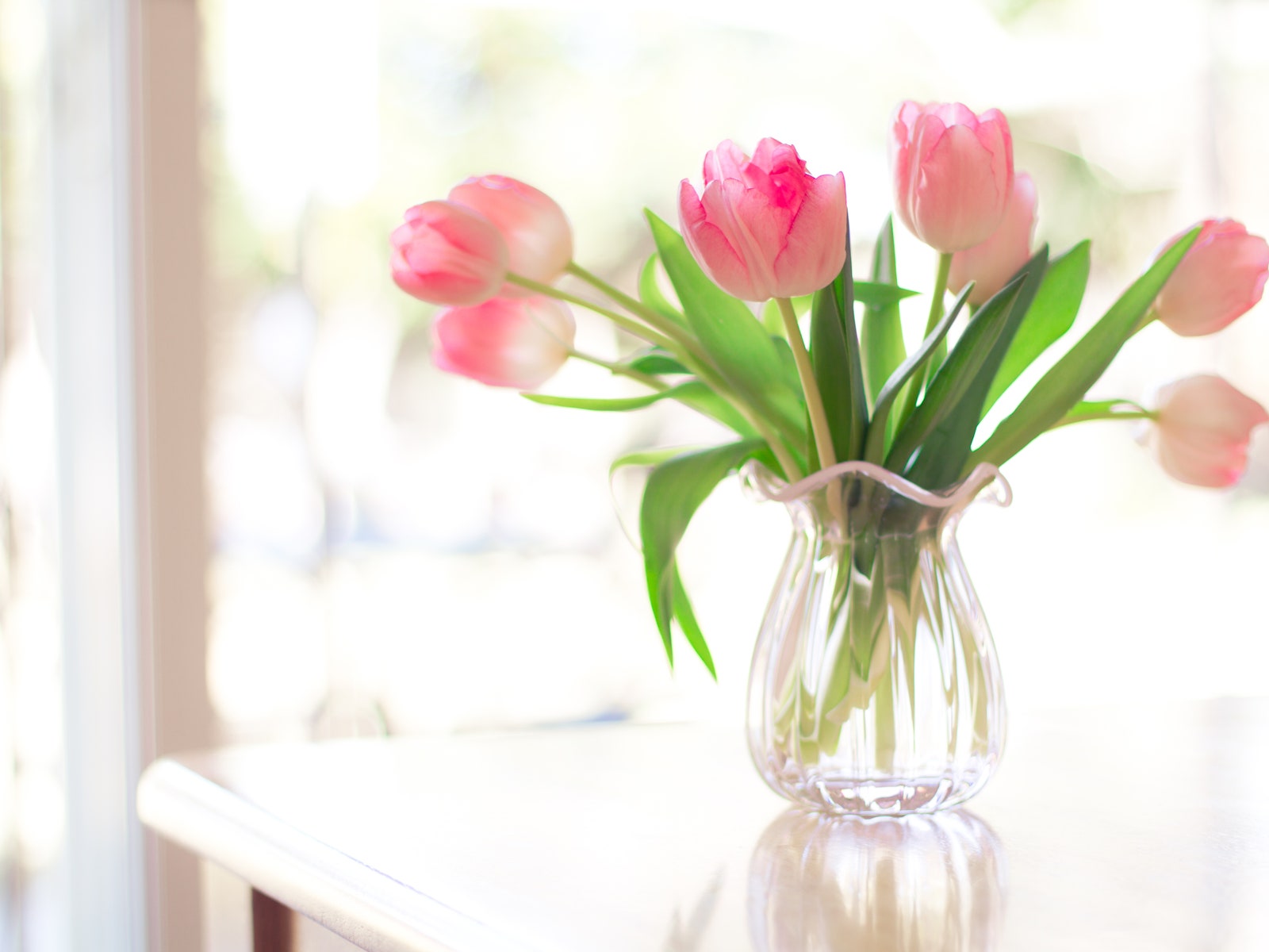 Ruffled pink glass vase filled with soft pink tulips sitting on table in front of window bright with sunlight.